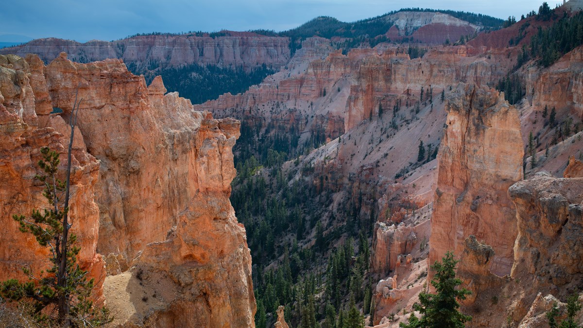 NPS landscape photograph at Black Birch Canyon: cliffs and wooded slopes.