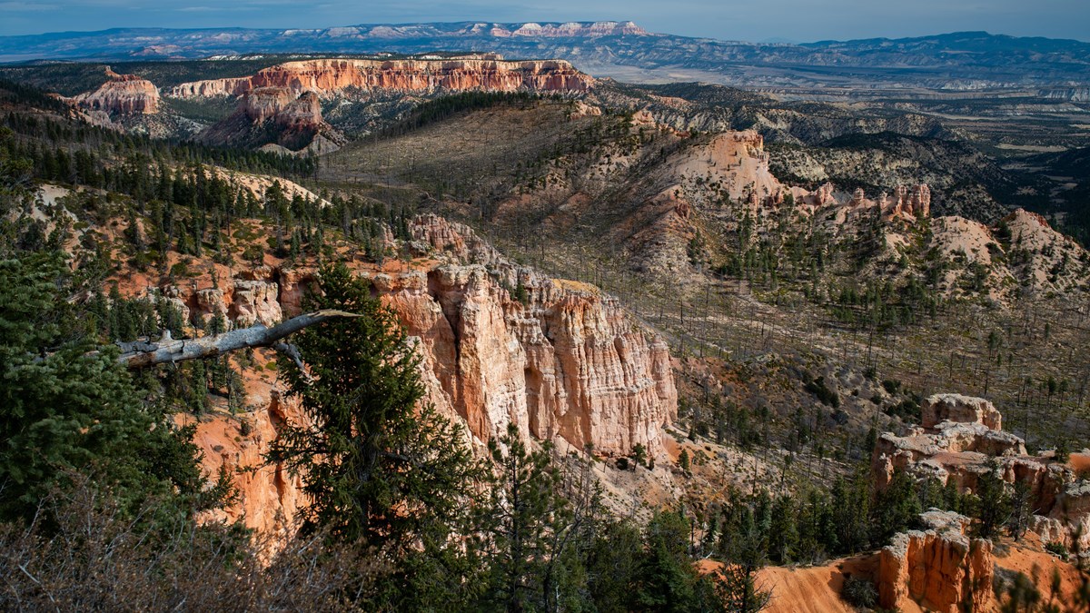 NPS landscape photograph at Piracy Point: cliffs and wooded slopes.