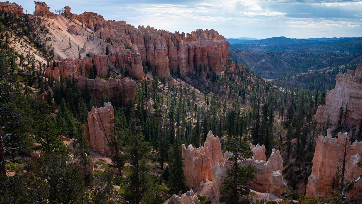 NPS landscape photograph at Swamp Canyon: cliffs and wooded slopes.