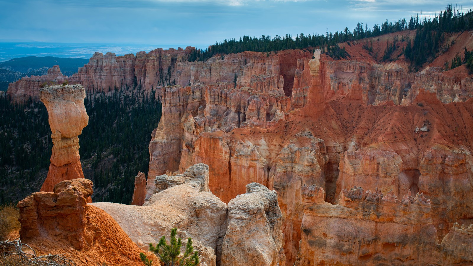 NPS photograph of Agua Canyon, by Peter Densmore.