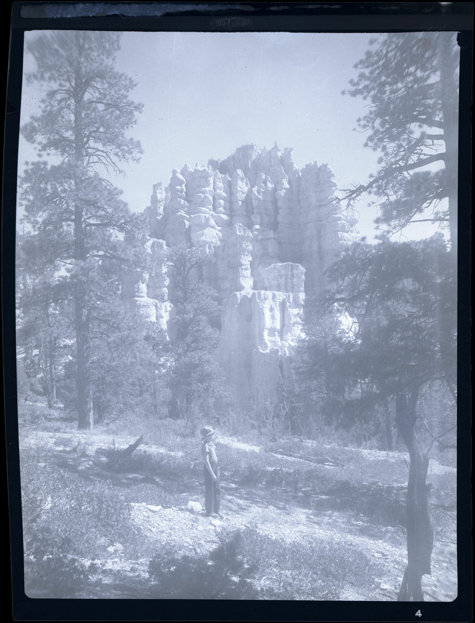 A small figure stands among pines in front of a hoodoo formation in a pale vertical photograph.
