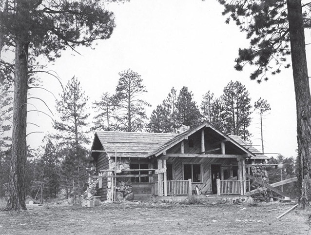 A timber and stone building stands among pines with construction materials and scaffolding visible near the porch.