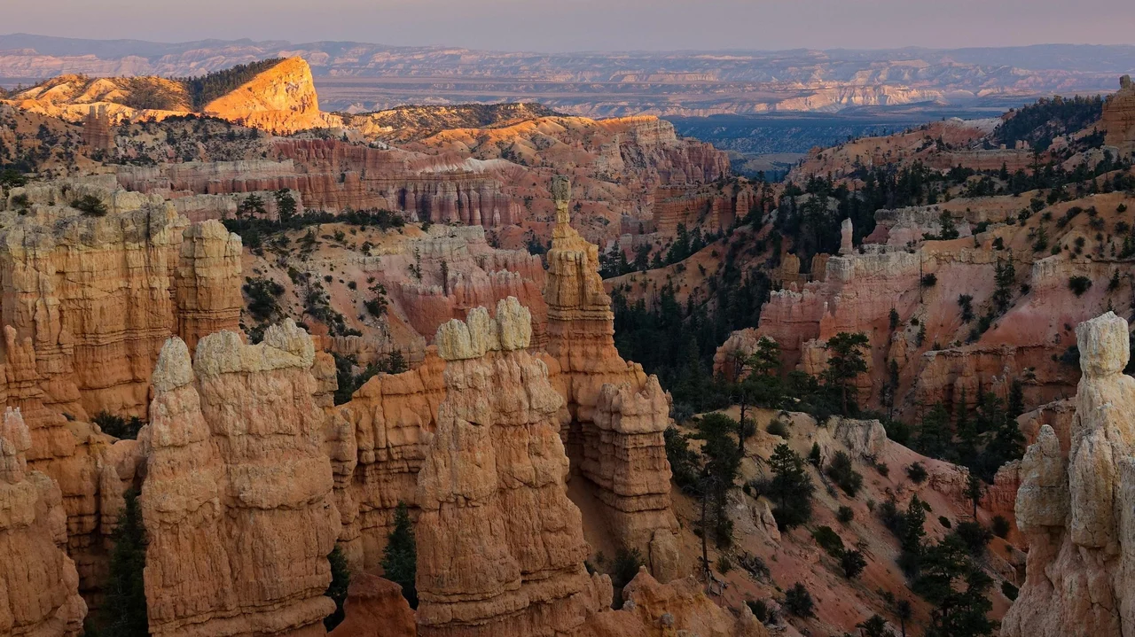Pale-capped orange hoodoos rise from a shadowed bowl at Fairyland Point, with a brightly lit rock fin near the distant rim.
