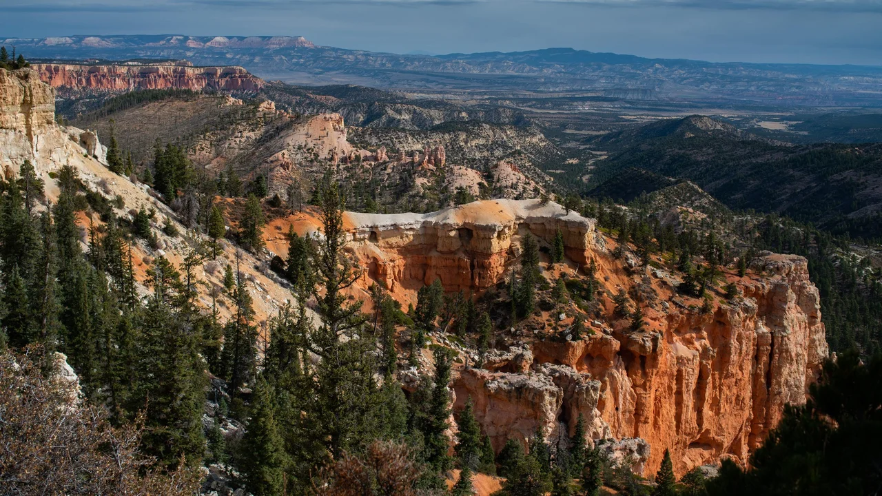 Foreground conifers and orange rim cliffs give way to layered distant ridges beneath blue sky at Farview Point.
