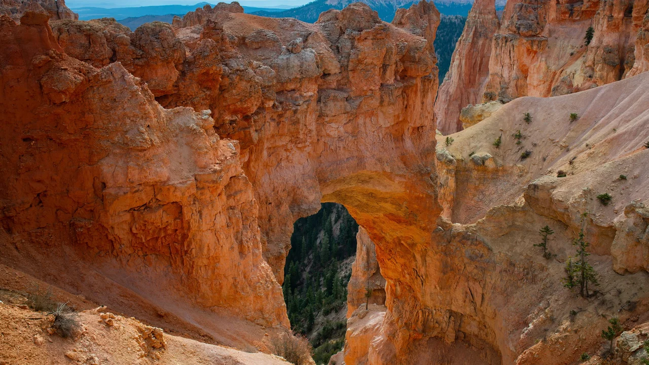 An orange natural arch surrounds a tall opening with dark conifers visible through it at Natural Bridge.