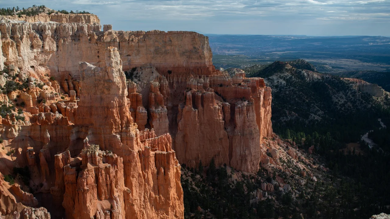 A sheer sunlit orange cliff at Paria View overlooks a dark forested slope and the broad distant landscape to the right.